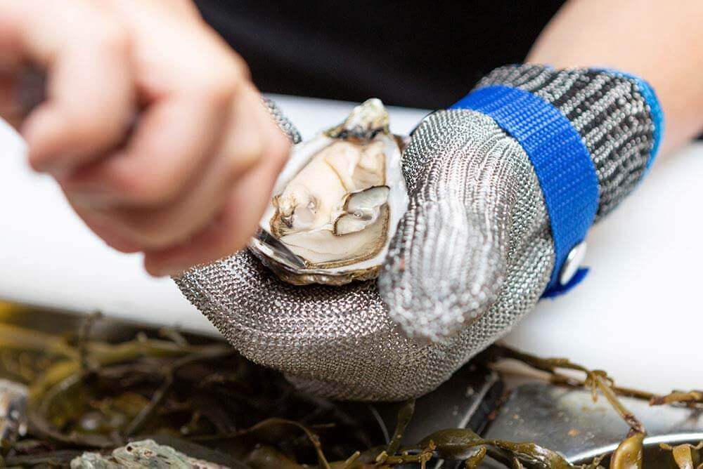 Sligo Oyster Experience